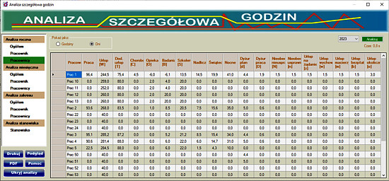 Analiza roczna pracowników